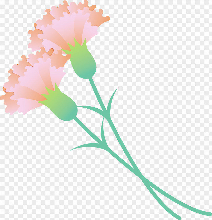 Flower Plant Pedicel Stem Petal PNG