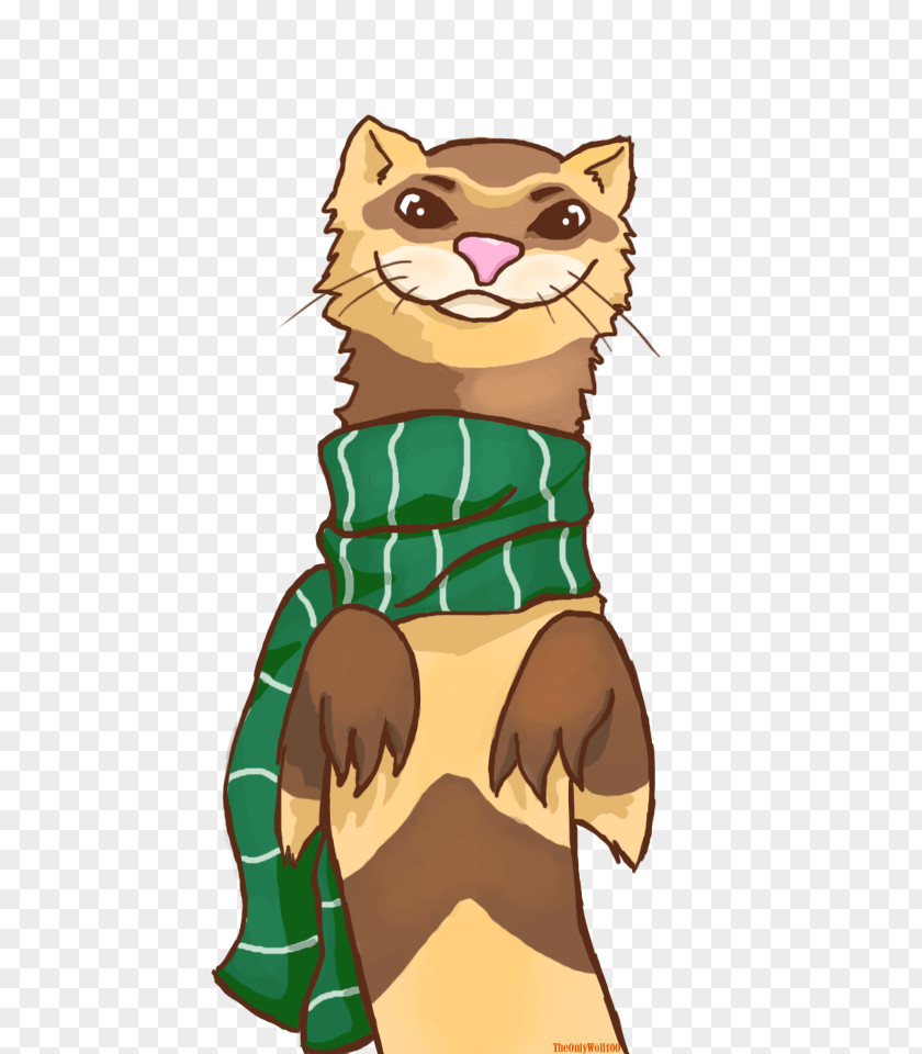 Green Ferret Cliparts Cat Drawing Clip Art PNG