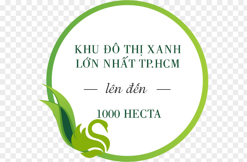 Logo Brand Font Leaf Green PNG