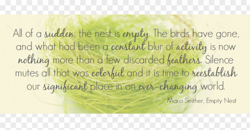 Nest Empty Syndrome Quotation PNG