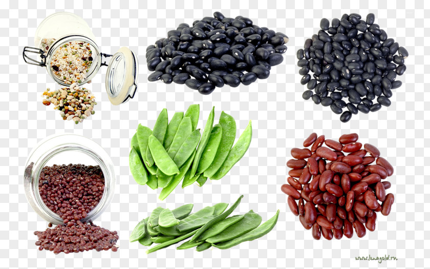 Pea Broad Bean Legumes PNG