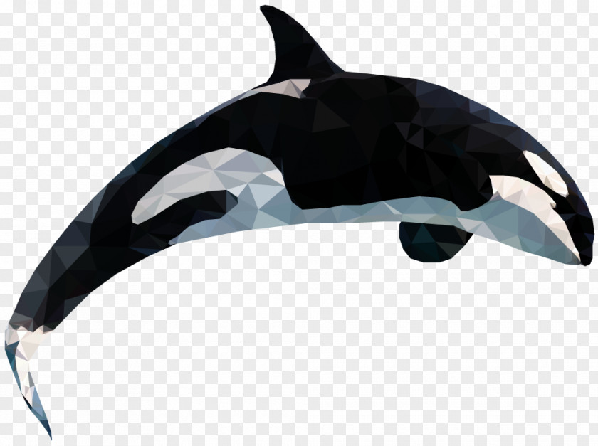 Whale Illustrator Low Poly Graphic Designer PNG