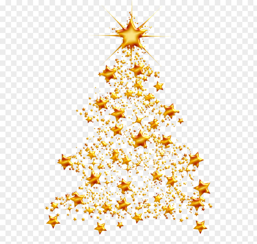 Christmas Tree Ornament Norway Spruce PNG