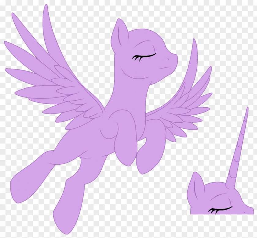 Fly Together My Little Pony Rainbow Dash Rarity Winged Unicorn PNG