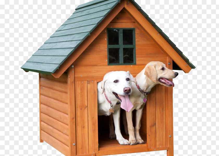 Golden Retriever Labrador Dog Houses Kennel Cat PNG