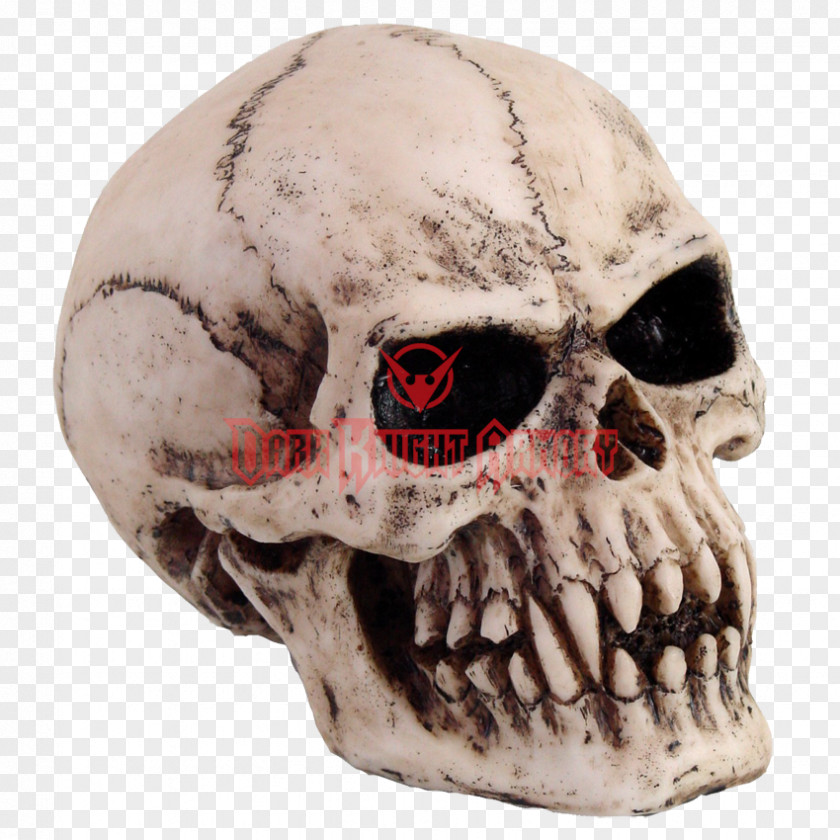 Skull Vampire Skeleton Totenkopf Goth Subculture PNG