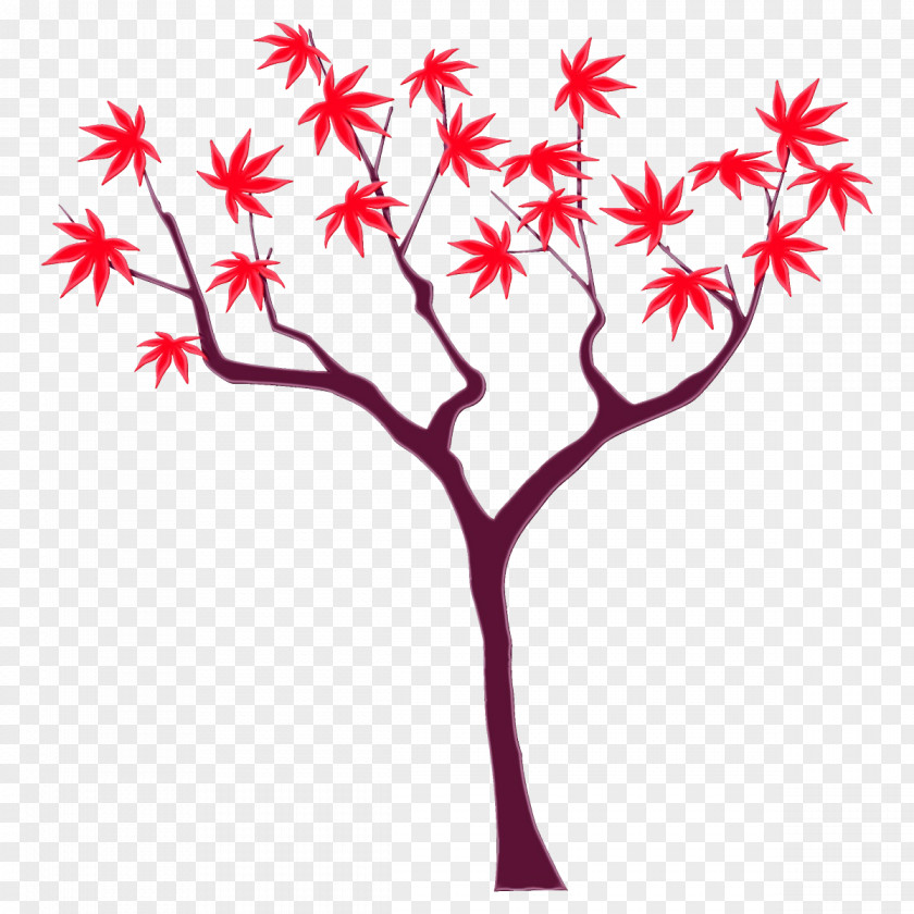 Twig Pedicel Tree Leaf Plant Branch Stem PNG