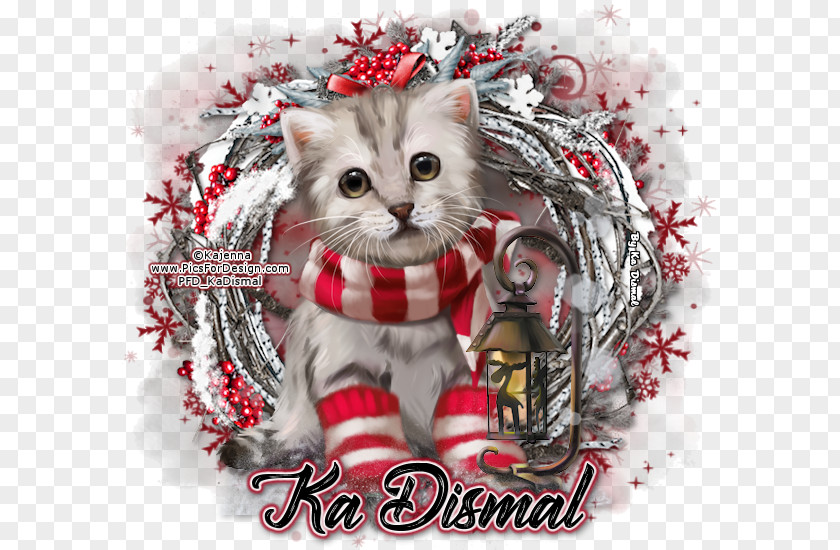 Winter Solstice Cat Kitten Christmas Decoration Carnivora PNG