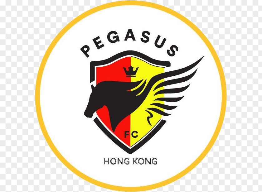 Football South China AA–Hong Kong Pegasus FC Rivalry Hong Premier League Tai Po PNG