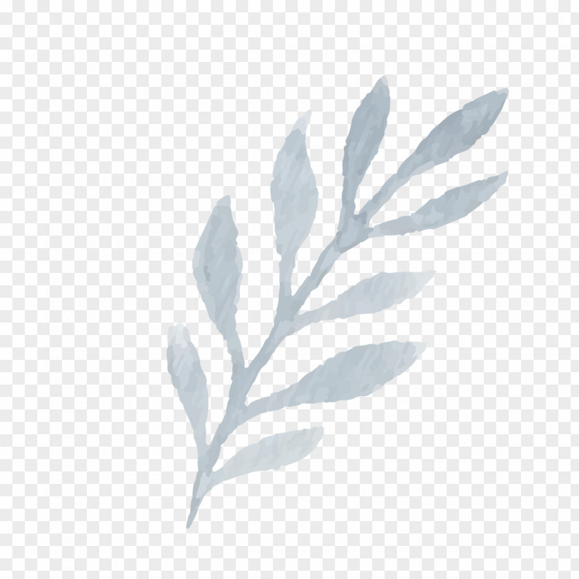 Laurel Leaf Pattern Twig Plant Stem PNG