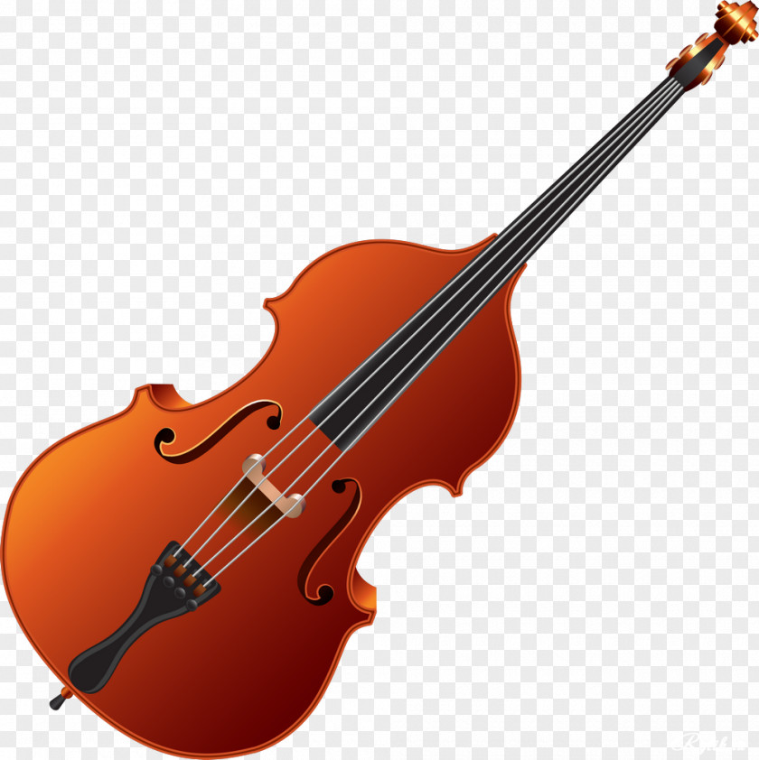 Musical Instruments Cello Violin Double Bass PNG