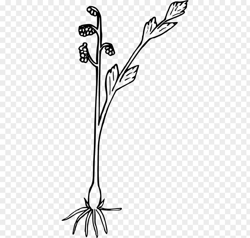 Wildflowers Clip Art PNG