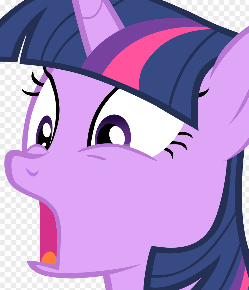 Cat Twilight Sparkle Pony Rainbow Dash Applejack Pinkie Pie PNG