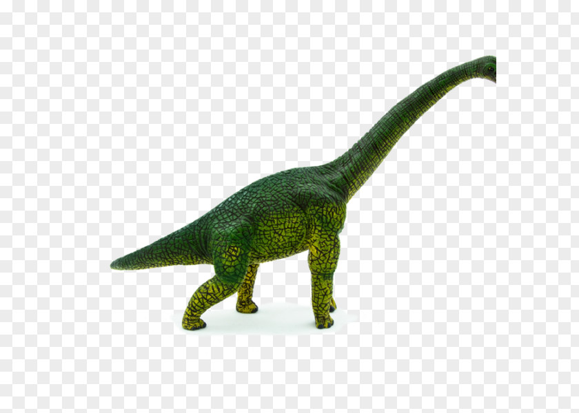 Dinosaur Brachiosaurus Tyrannosaurus Action & Toy Figures Animal Figurine PNG