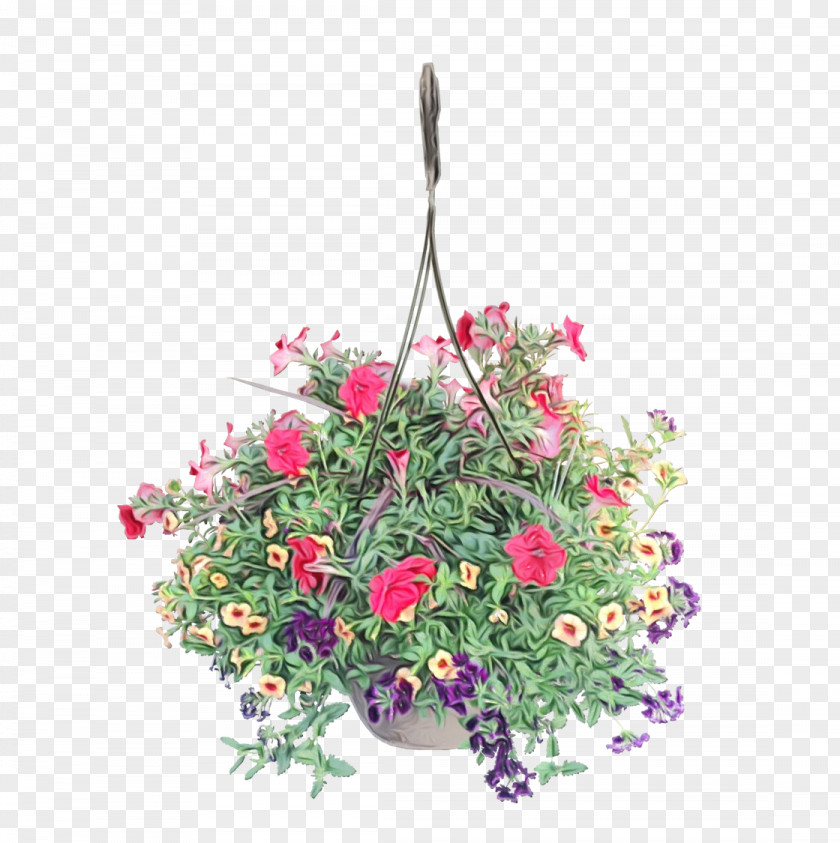 Flower Plant Pink Bouquet Cut Flowers PNG