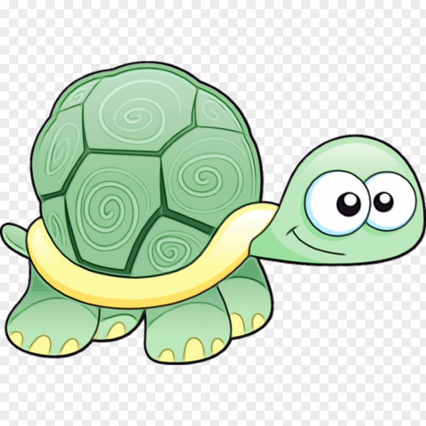 Green Turtle Sea Tortoise Cartoon PNG