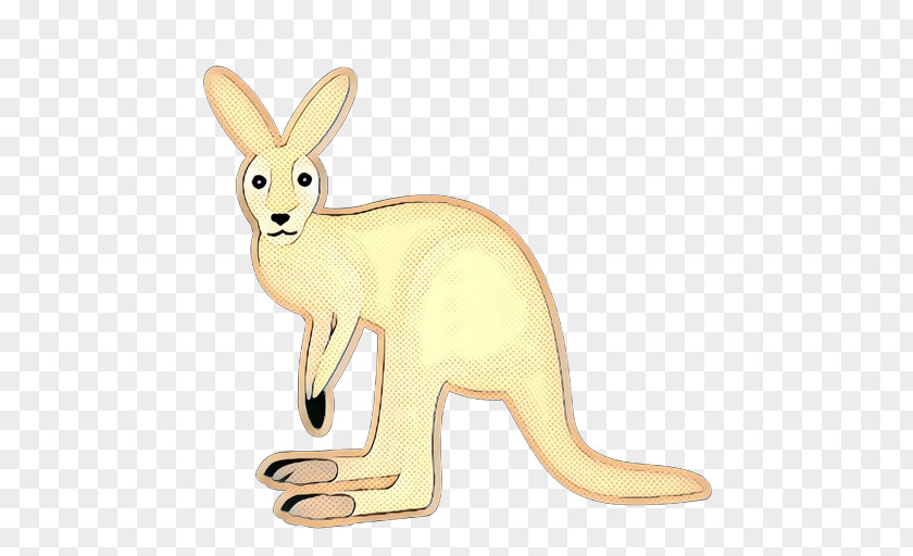 Red Kangaroo Wildlife Pop Art Retro Vintage PNG