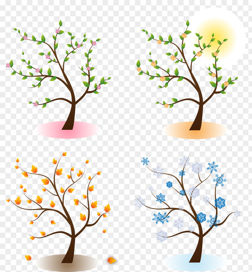 Seasons Four Hotels And Resorts Tree Clip Art PNG