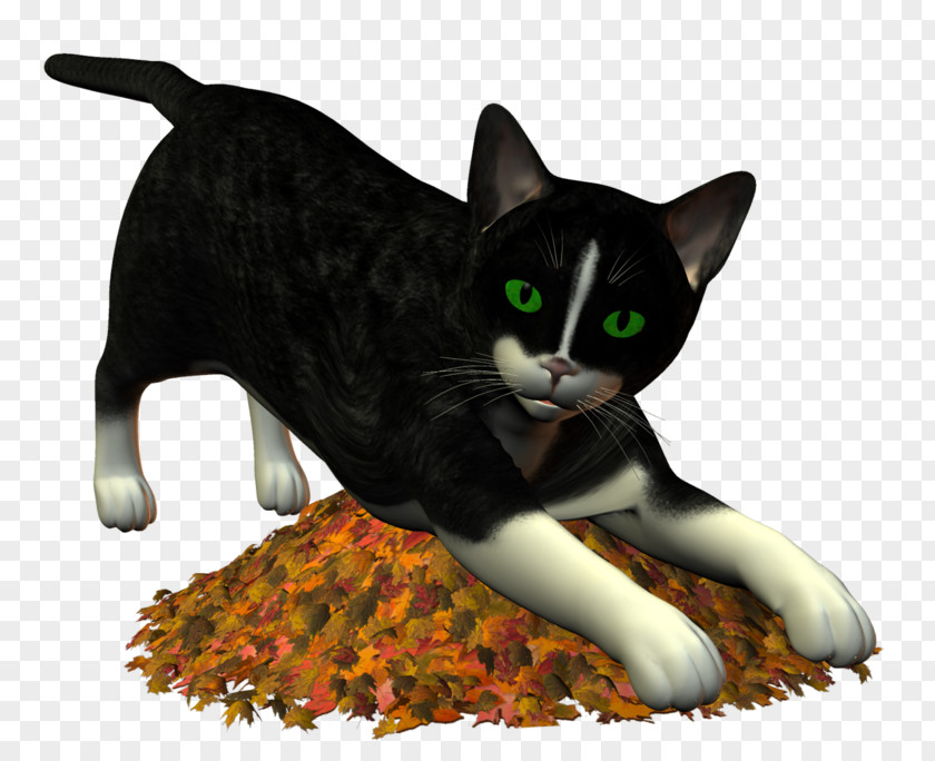 Animated Cat Meow Whiskers European Shorthair American Wirehair Domestic Short-haired Black PNG