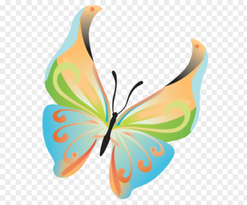 Butterfly Insect Clip Art Digital Image Small Tortoiseshell PNG