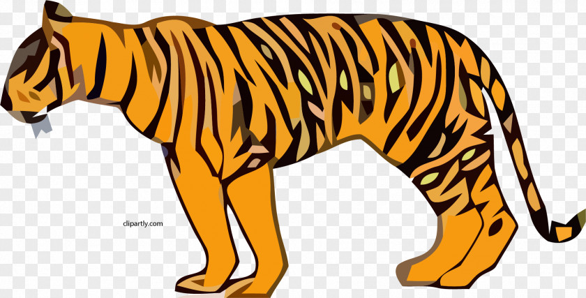 Tiger Clip Art Lion Cat PNG