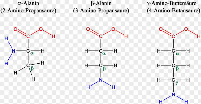 Alphabeta Amino Acid Talde β-Alanine Alpha PNG