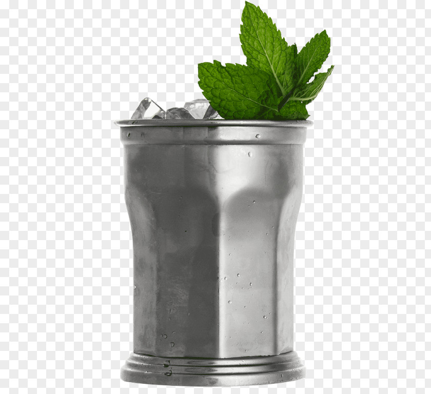 Cocktail Mint Julep Moscow Mule Mug Table-glass PNG