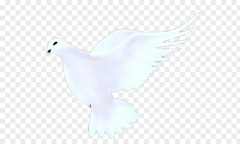 Drawing Peace Bird PNG