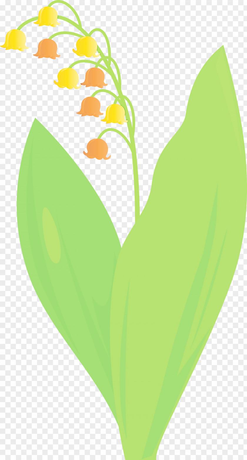Leaf Green Lily Of The Valley Yellow Plant PNG