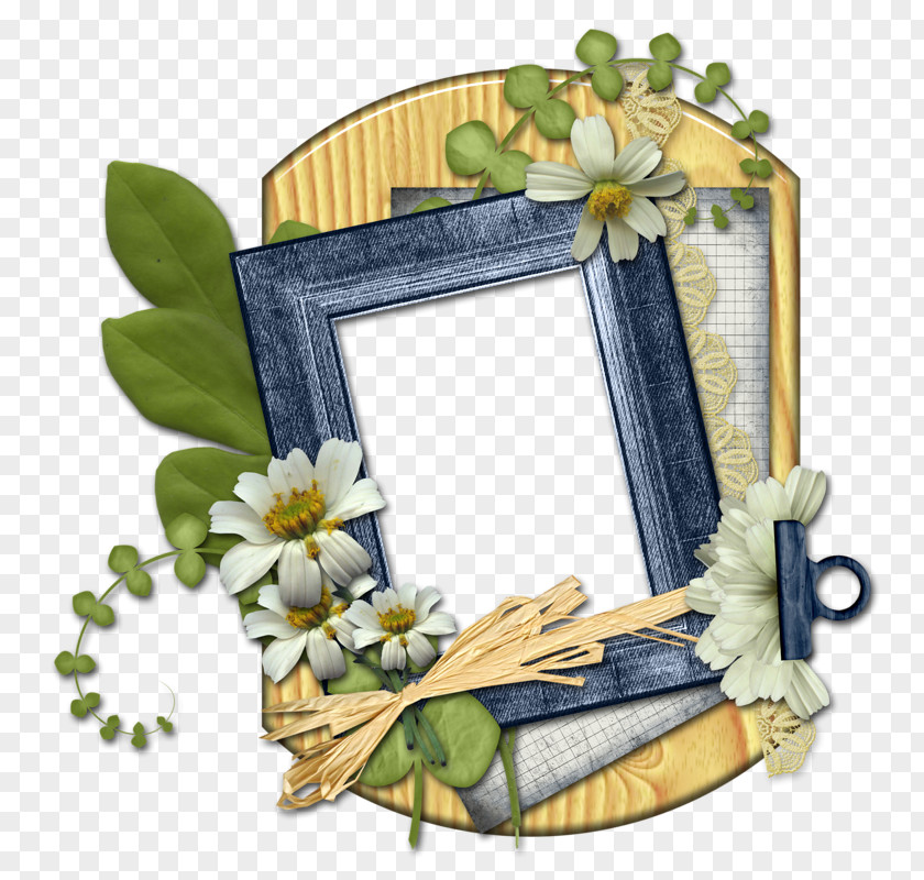 Bibliography Frame Picture Frames Image Decorative Mat Molding PNG