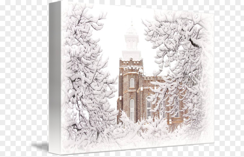 Lds Temple Picture Frames Winter White Rectangle PNG
