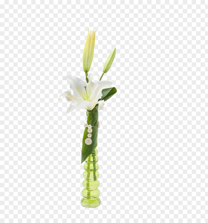 Lily Flower Vase The Nook Floristry Cut Flowers Bouquet PNG