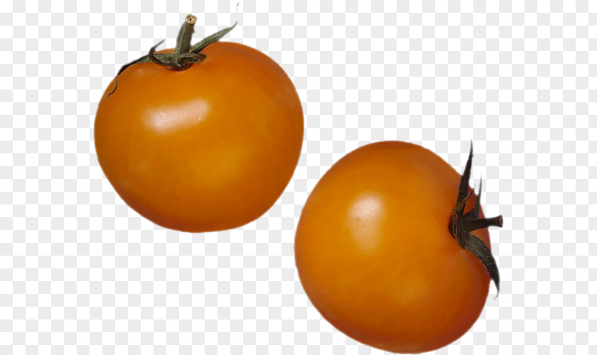 Persimmon Vegetarian Cuisine Bush Tomato Food PNG