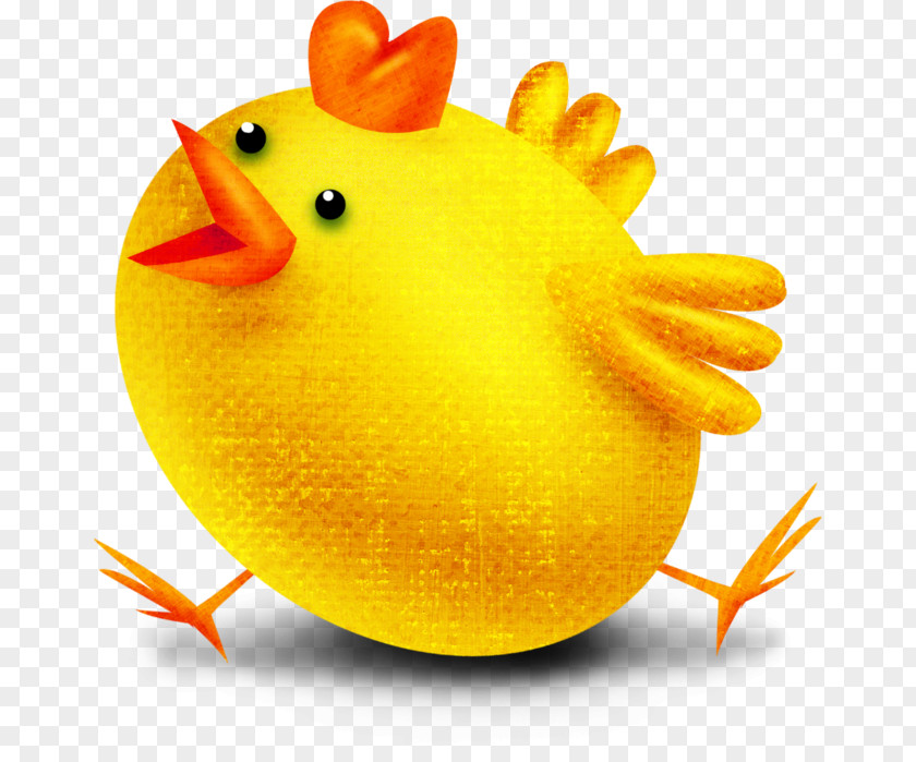 Welsummer Kifaranga Chicken As Food Orange Clip Art PNG