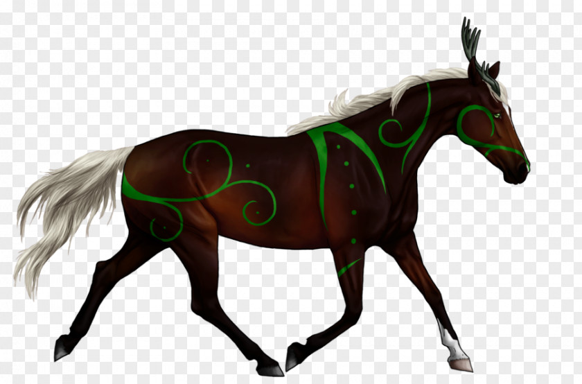 Western Pleasure Horse Silhouette English Riding Clip Art PNG