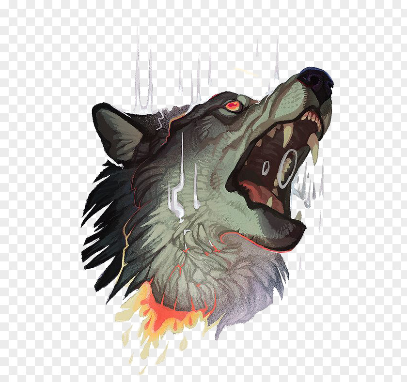 Wolf Gray Tattoo Drawing PNG