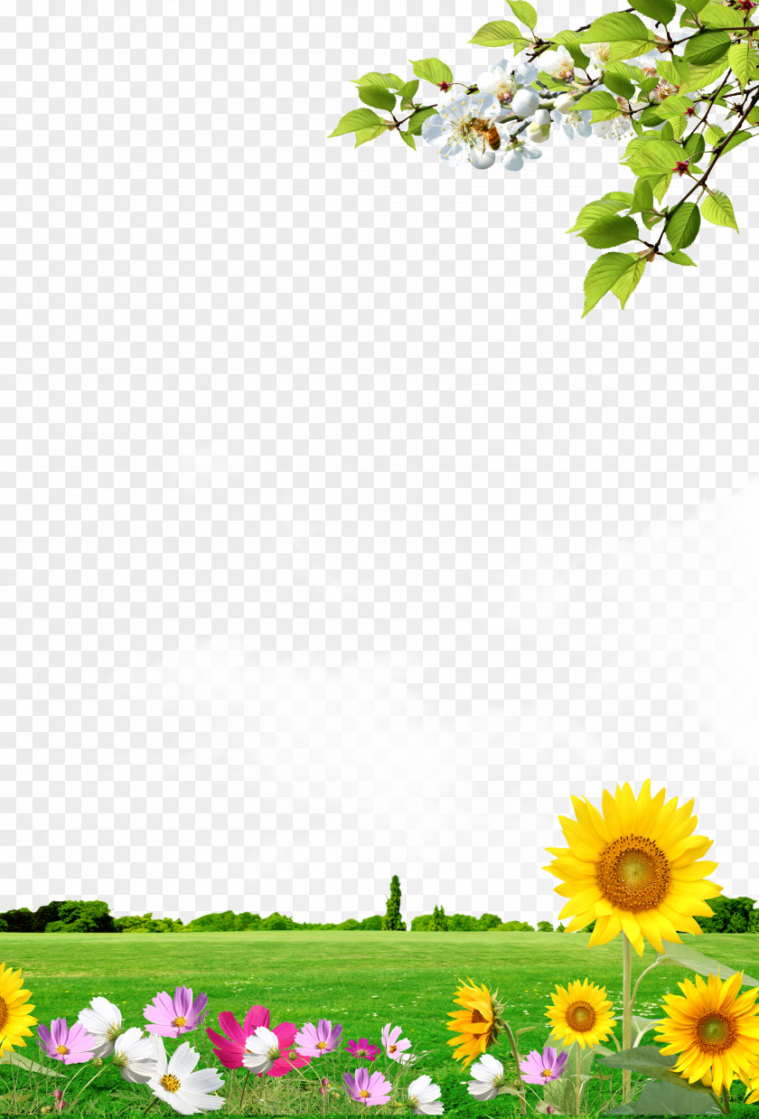 Background Scenery Panels PNG