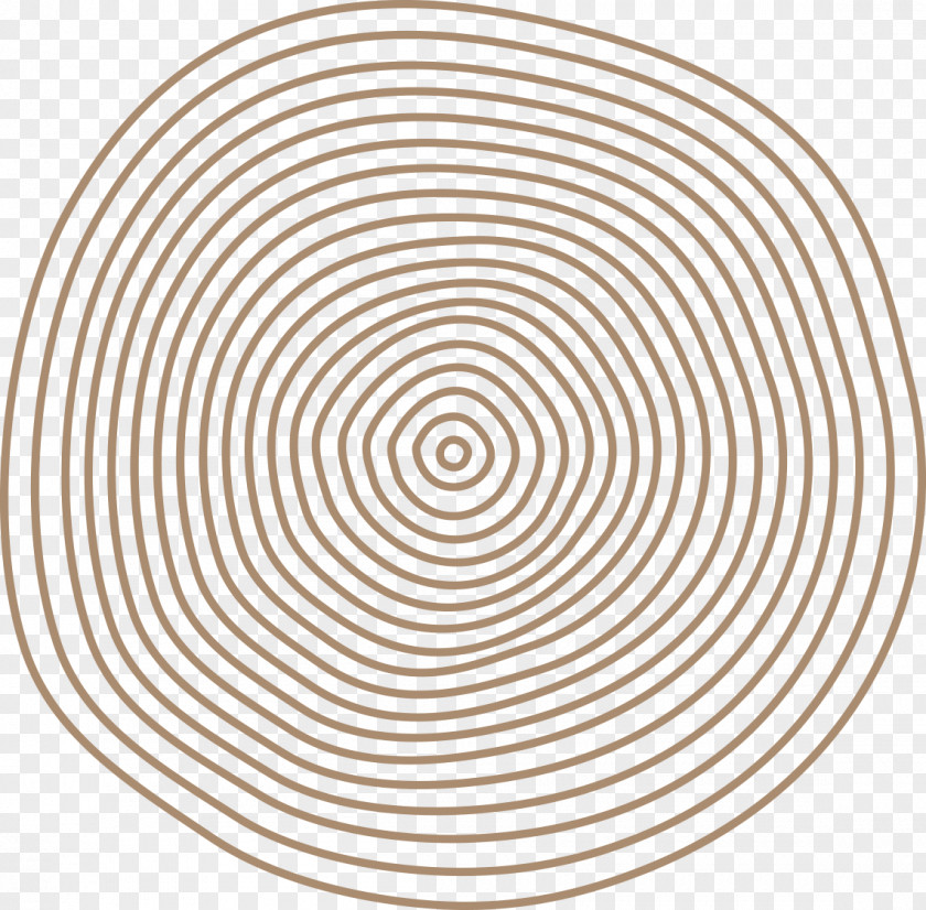Brief Introduction Spiral Symbol Sound Circle Labyrinth PNG