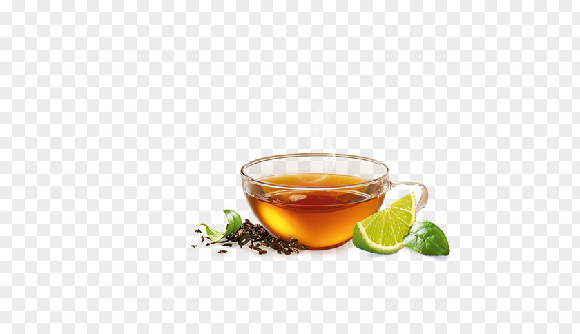 Green Tea Earl Grey Mate Cocido Assam PNG