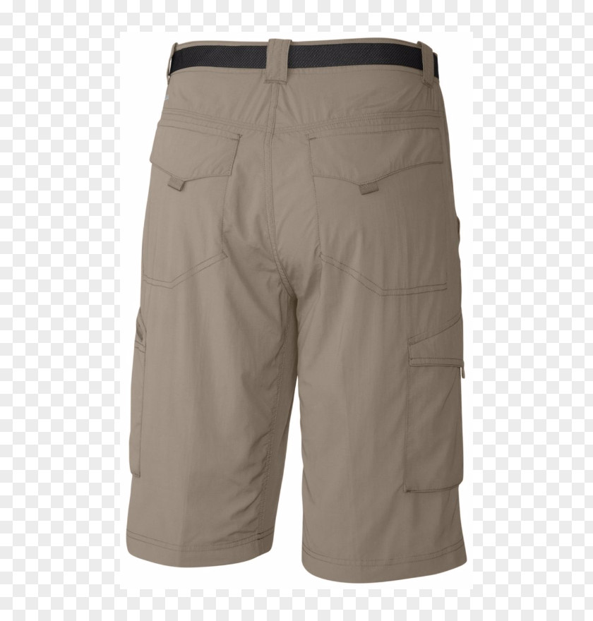 Man In Shorts Bermuda Khaki PNG