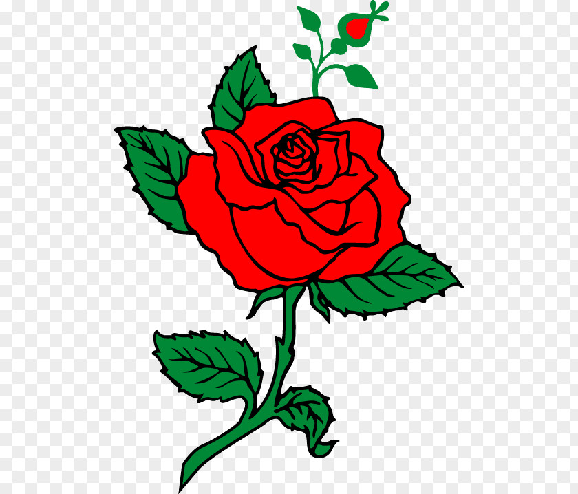 Rose Garden Roses Floral Design Cut Flowers Clip Art PNG