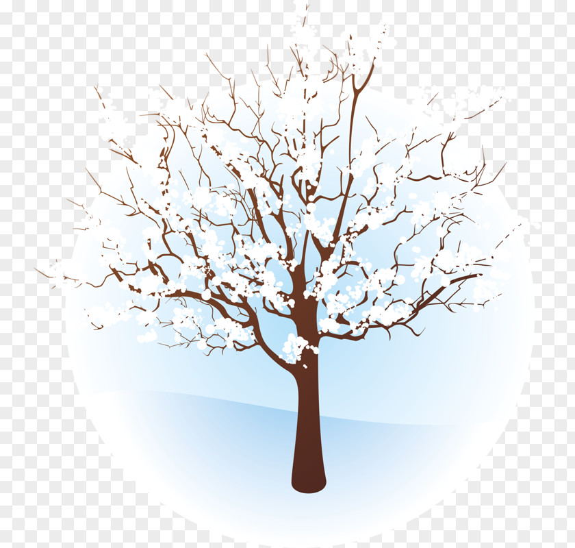 Tree Branches Winter Branch Clip Art PNG