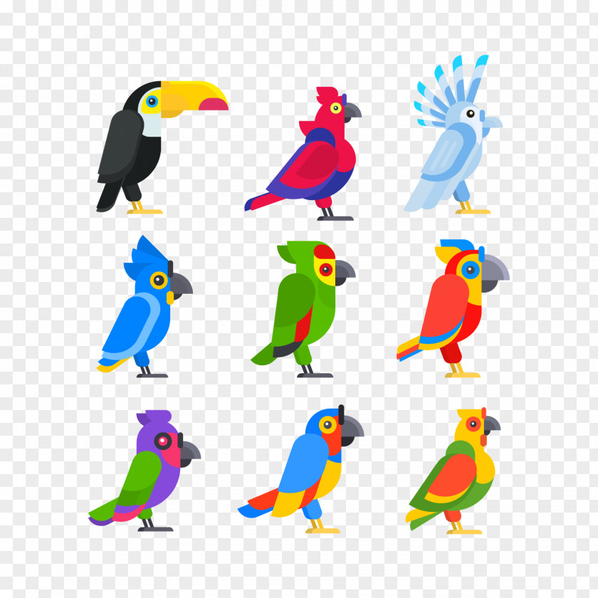 Cartoon Parrot Bird Vector Graphics Clip Art Cockatoo Illustration PNG