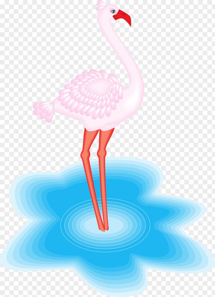 Flamingo Water Bird Greater American PNG