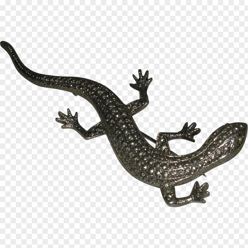 Reptile Lizard Common Iguanas Gecko Desktop Wallpaper PNG