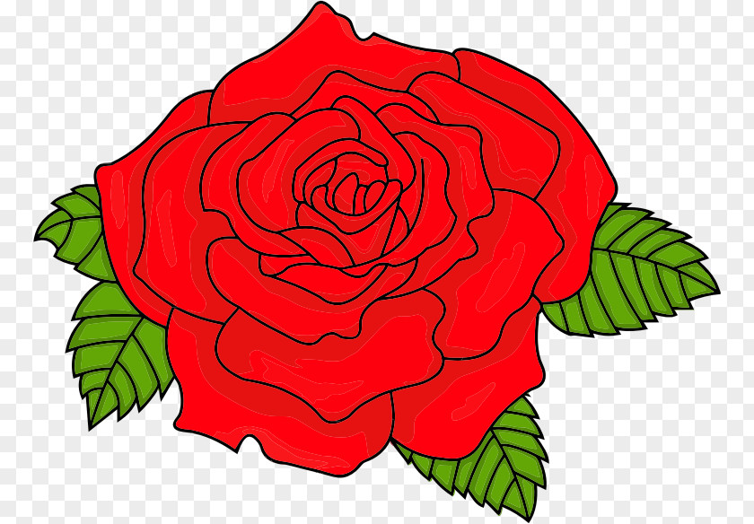 Shaded Garden Roses Clip Art Cabbage Rose Floribunda Floral Design PNG