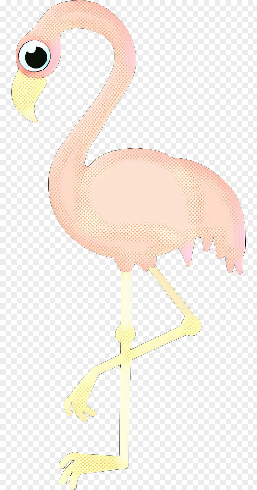 Stork Flightless Bird Pink Flamingo PNG