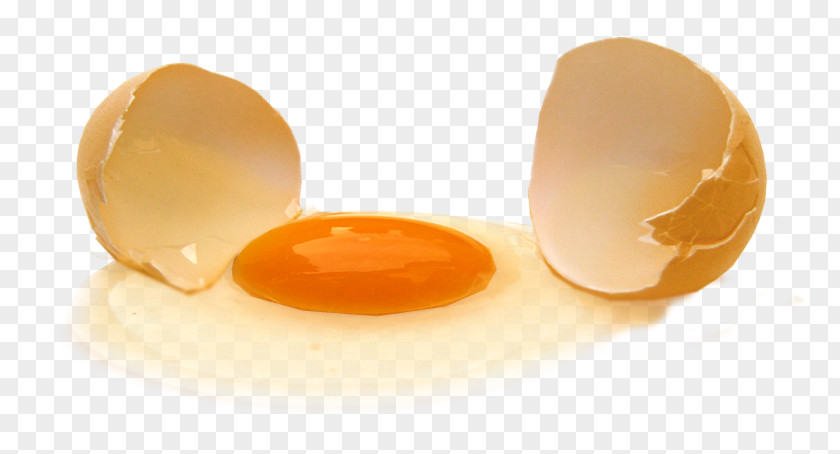 Chicken Yolk Egg White Color PNG
