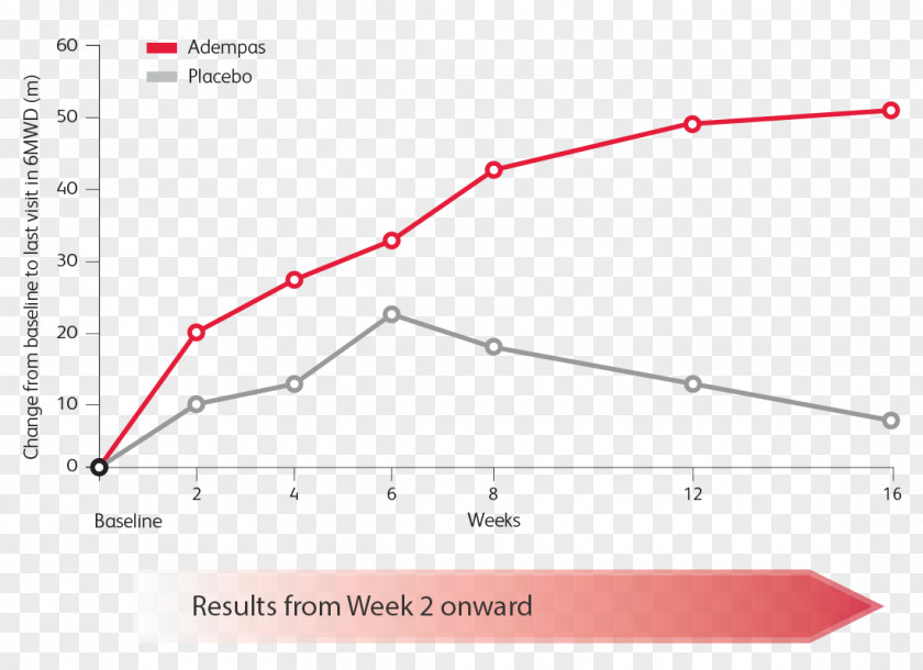 Pea Weekly Result 2075 Riociguat 2.5 Mg Tablet Placebo-controlled Study Randomized Controlled Trial PNG