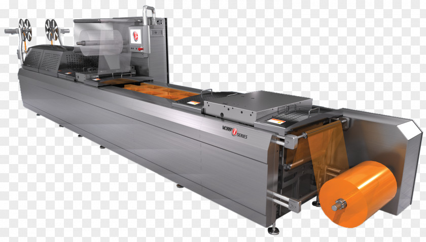Seal Vacuum Packing Packaging And Labeling Thermoforming Machine Manufacturing PNG